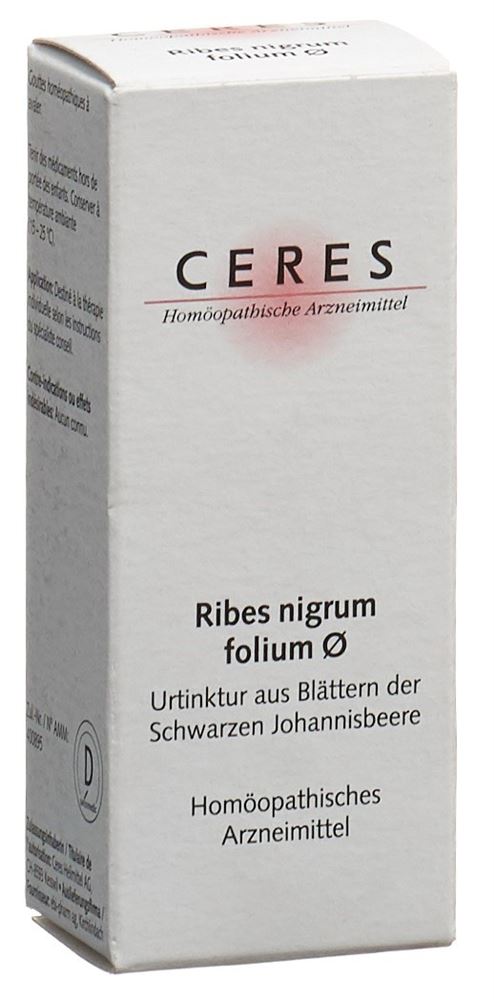 CERES ribes nigrum folium, image principale