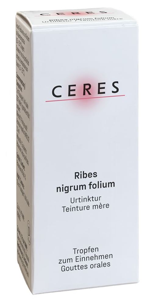CERES ribes nigrum folium, image principale