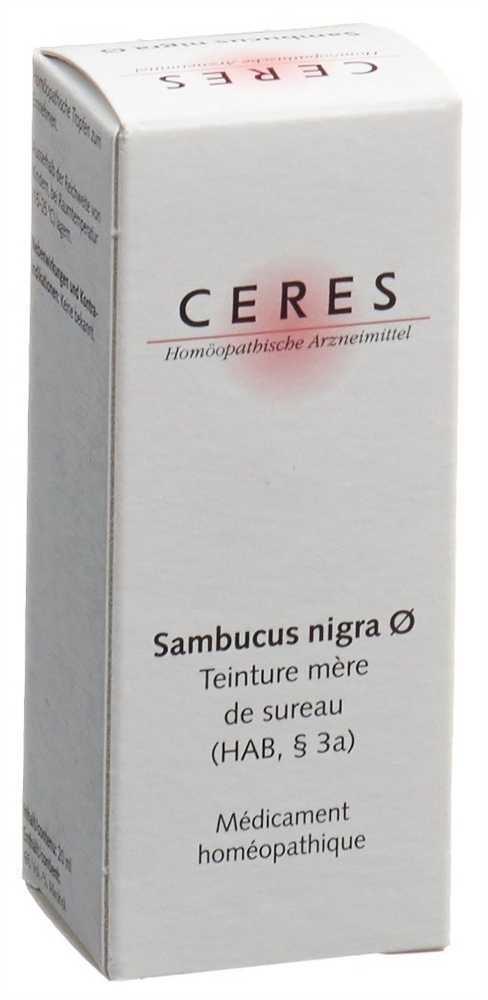 CERES Sambucus nigra, Bild 2 von 2