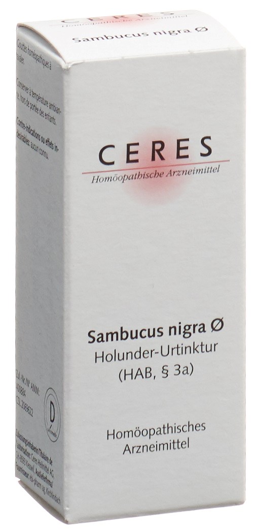 CERES Sambucus nigra, Hauptbild