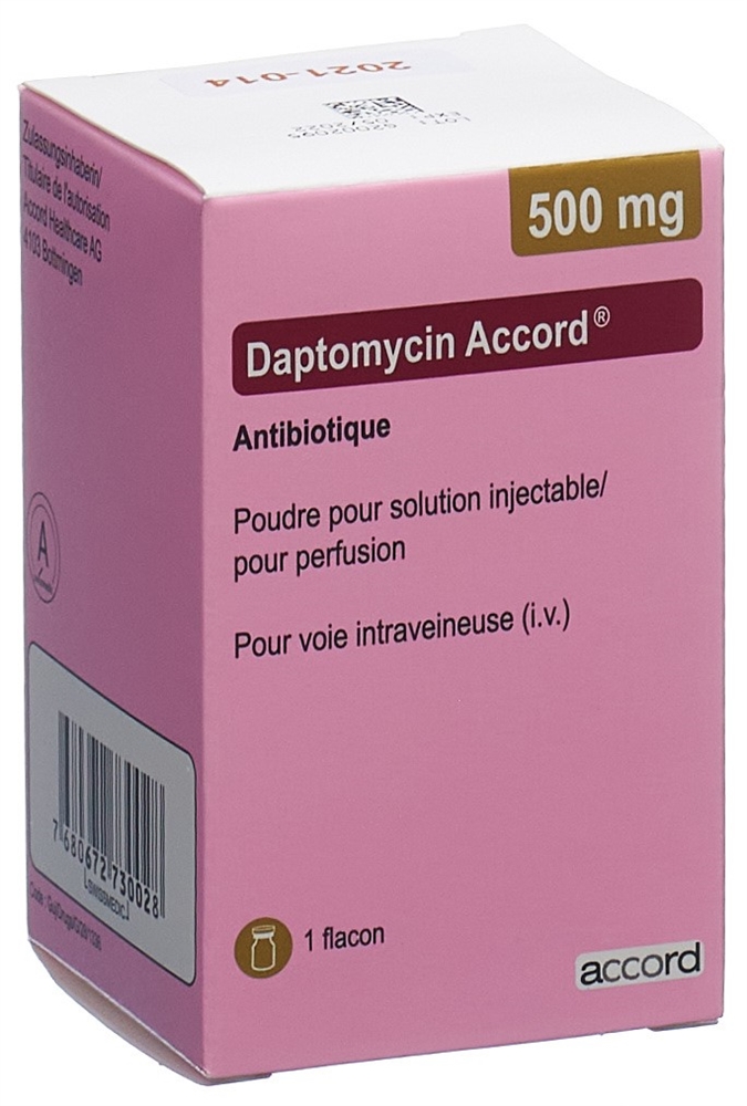 DAPTOMYCINE Accord 500 mg, image 2 sur 2