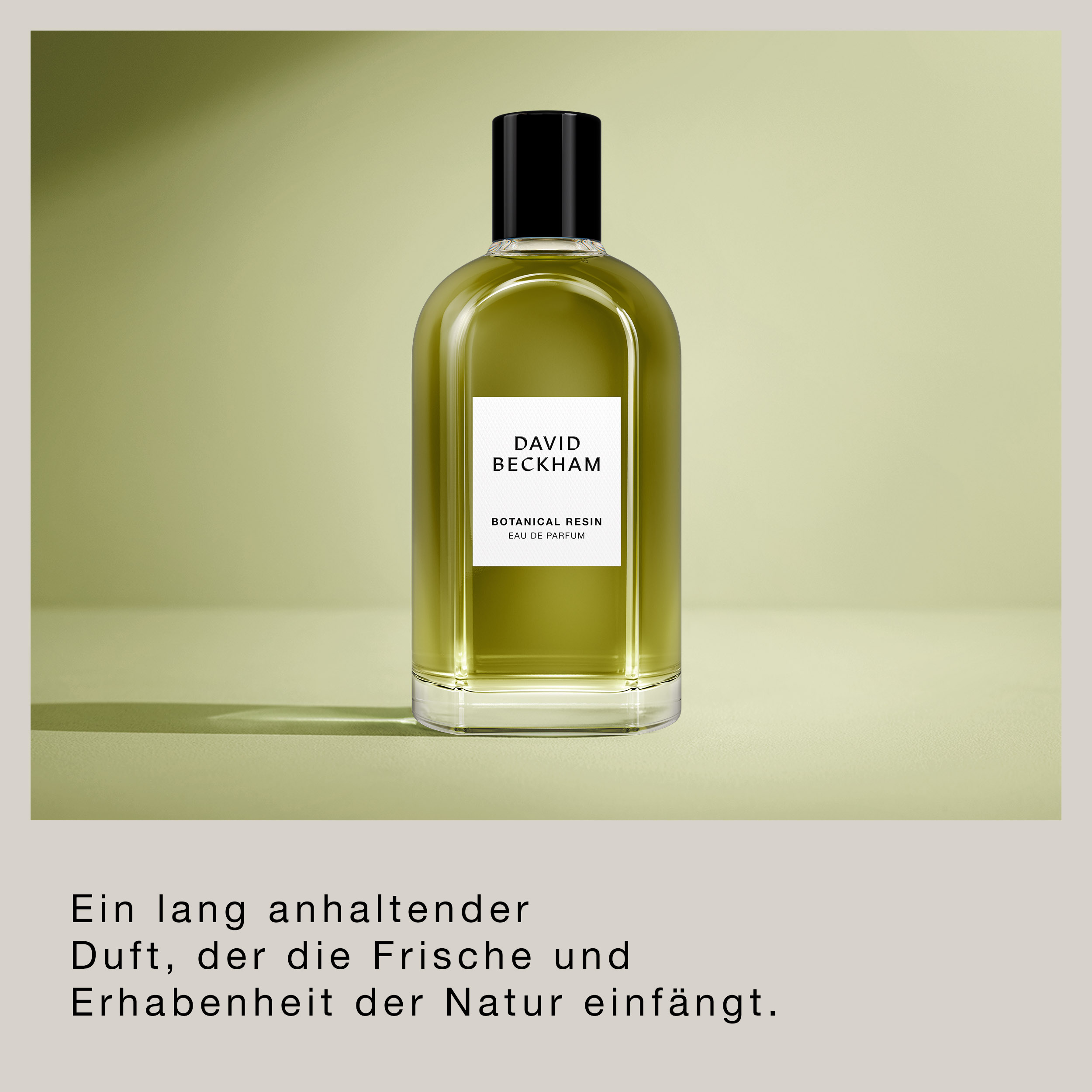 BECKHAM Botanical Resin Eau de Parfum, image 4 sur 5