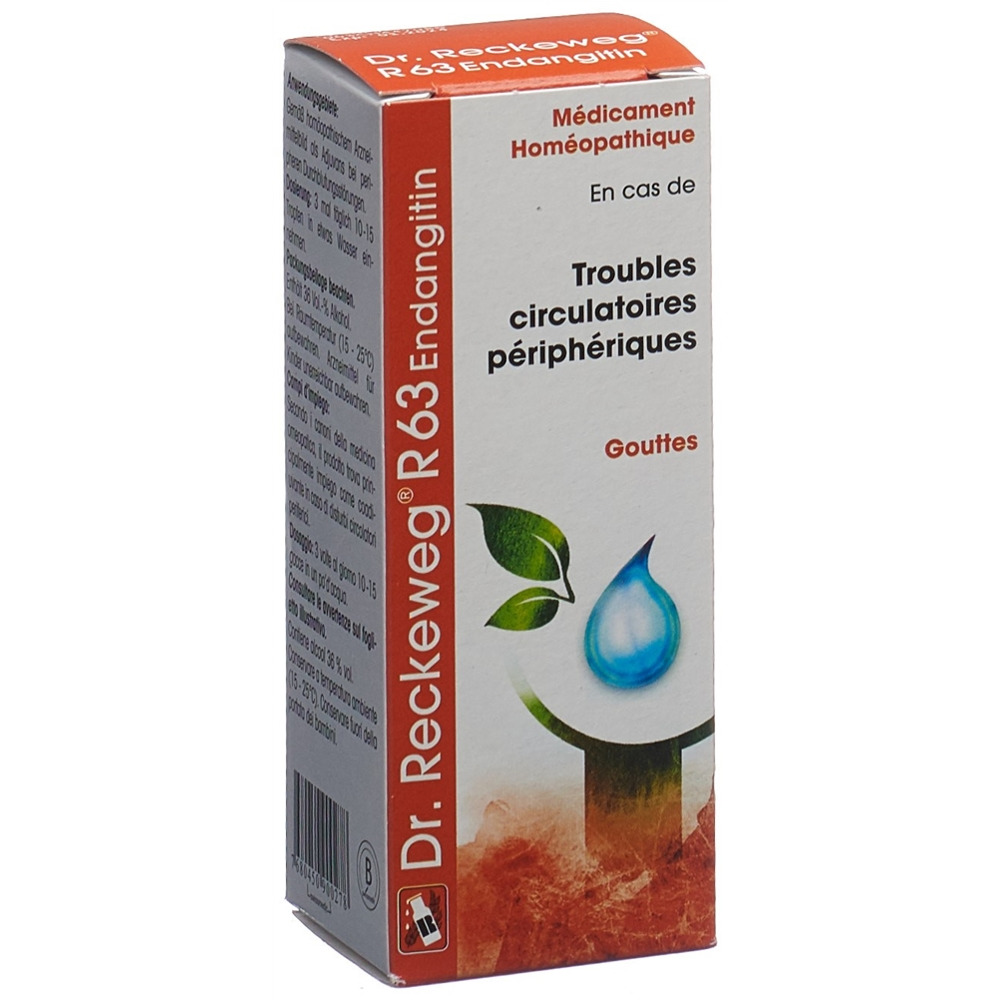 Dr. Reckeweg R63 Endangitin, image 2 sur 2