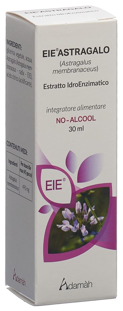 EIE Astragalo