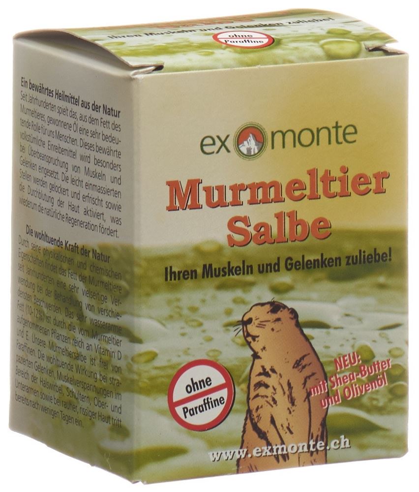 EXMONTE marmotte, image principale