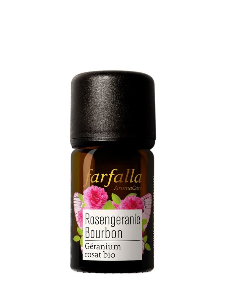 Farfalla Géranium rosat Bourbon, image principale