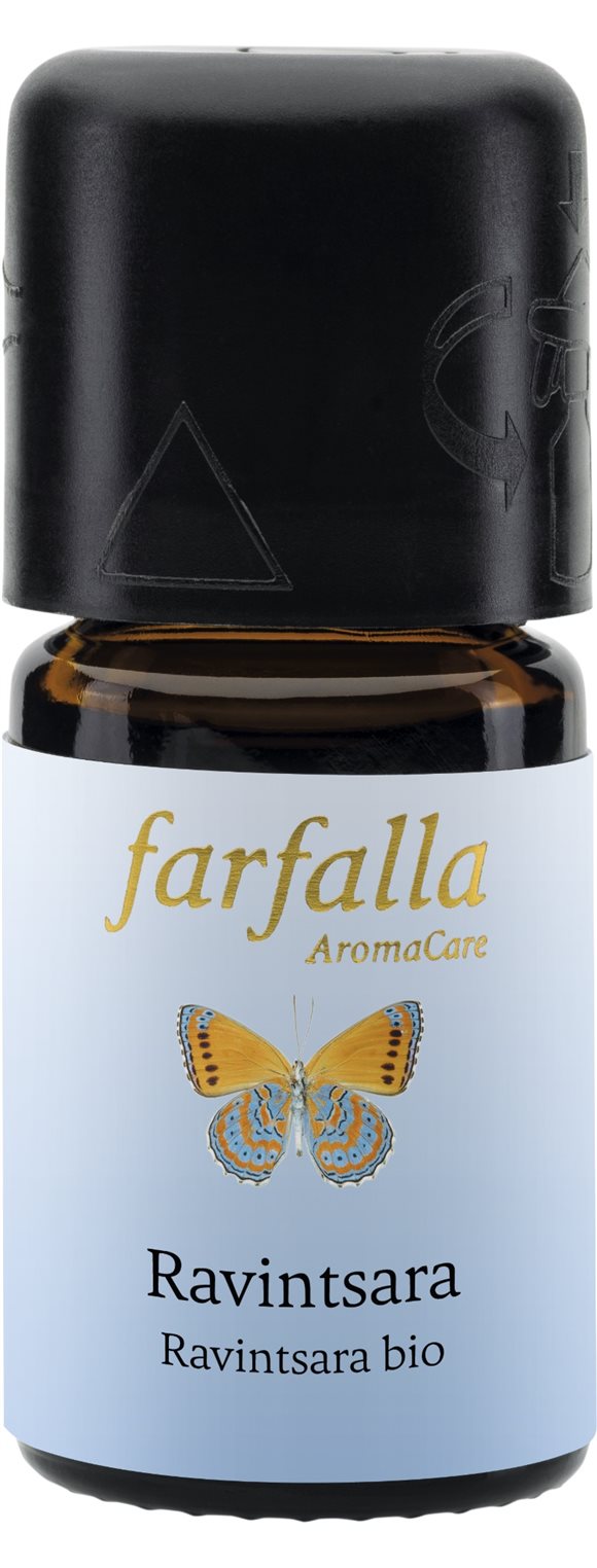 Farfalla Ravintsara, Hauptbild