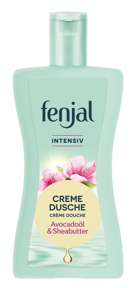 , immagine principale
