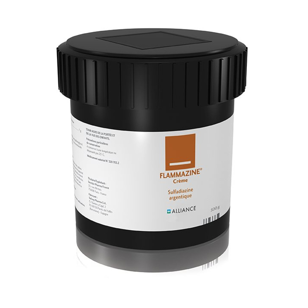 Flammazine crème pot 500 g, image principale