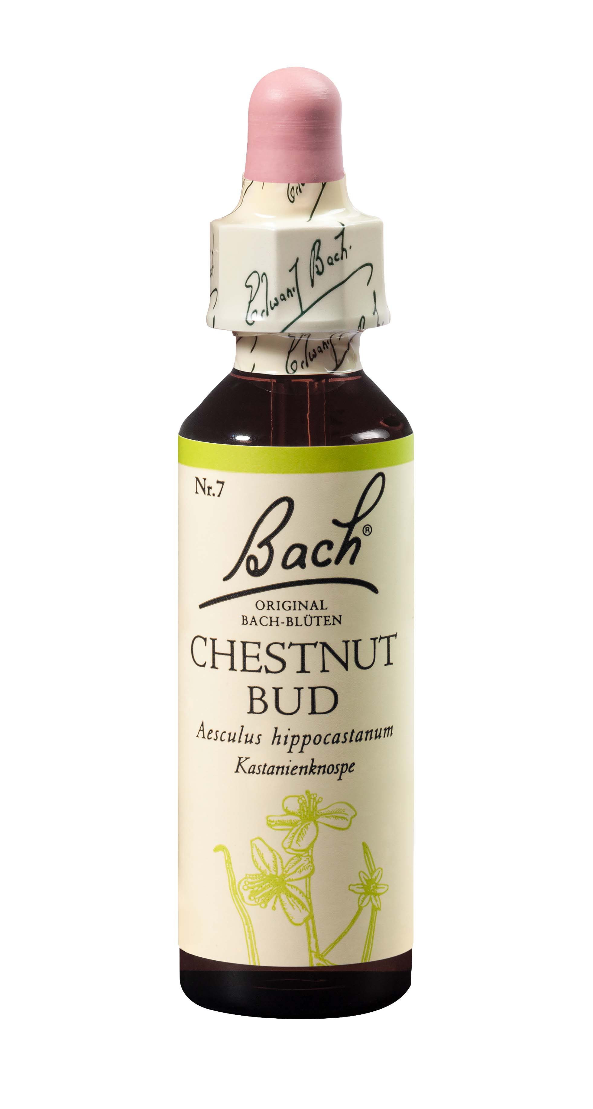 Fleurs de Bach original chestnut bud