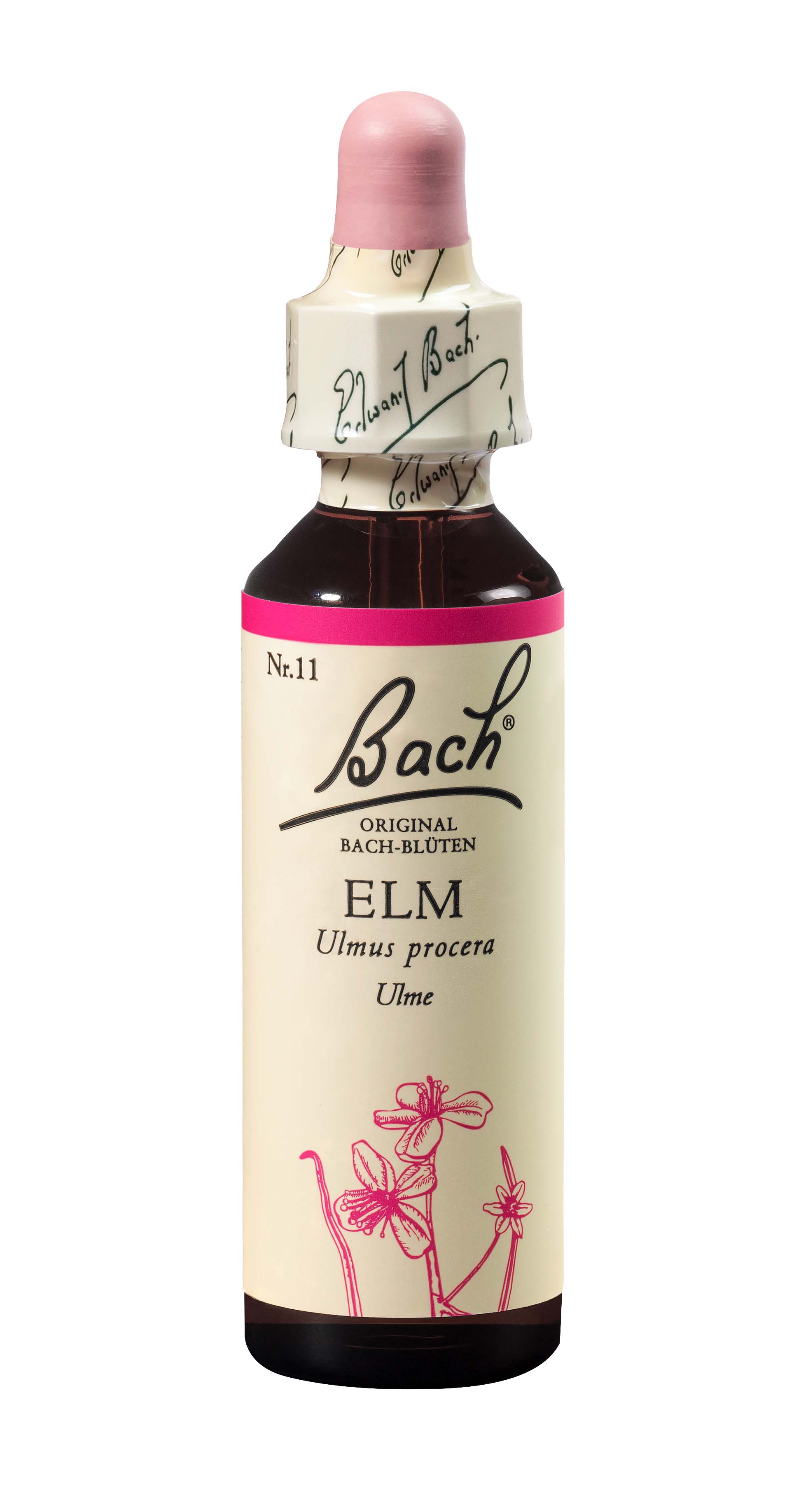 Fleurs de Bach original elm