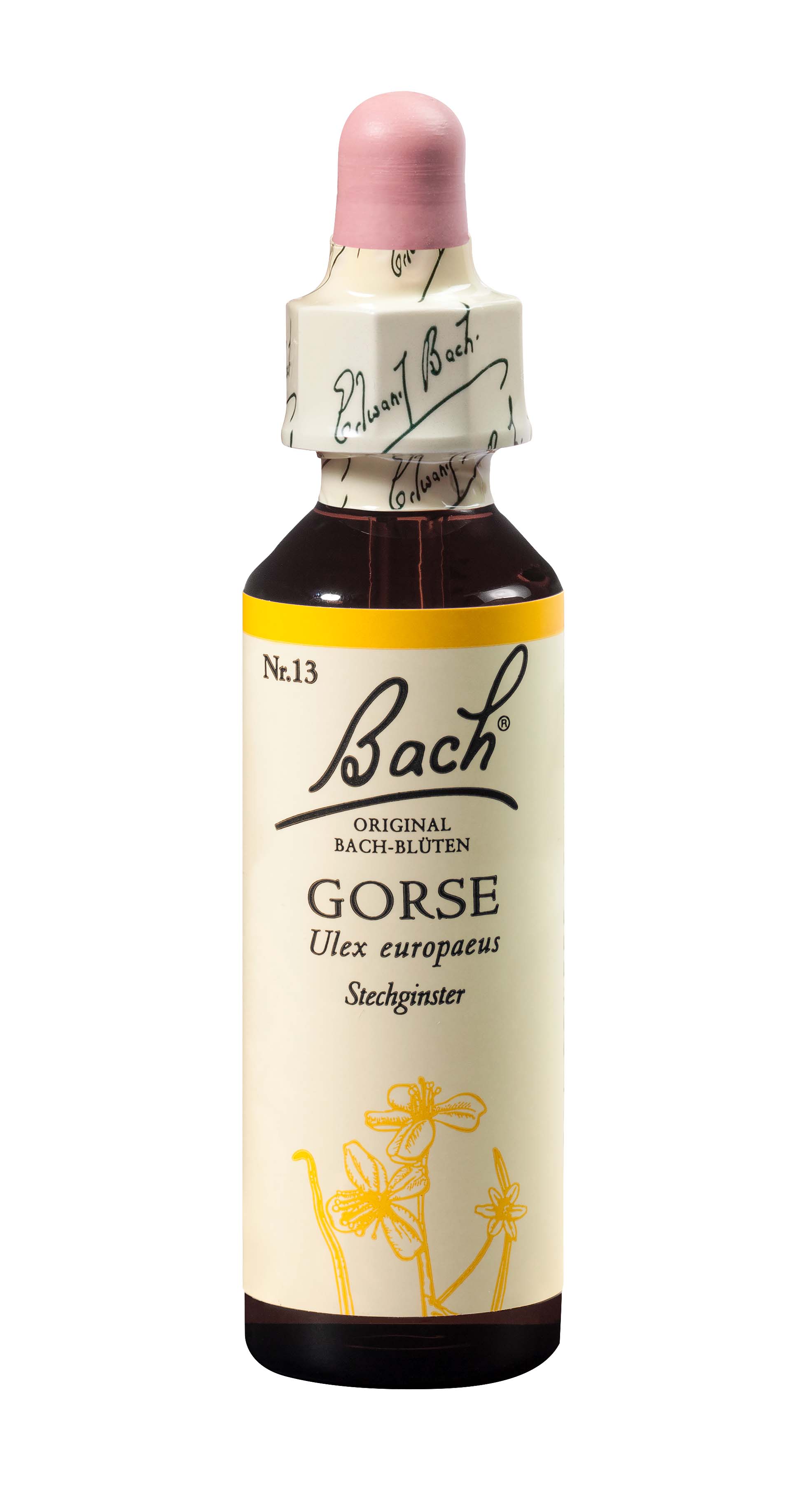 Bach original gorse