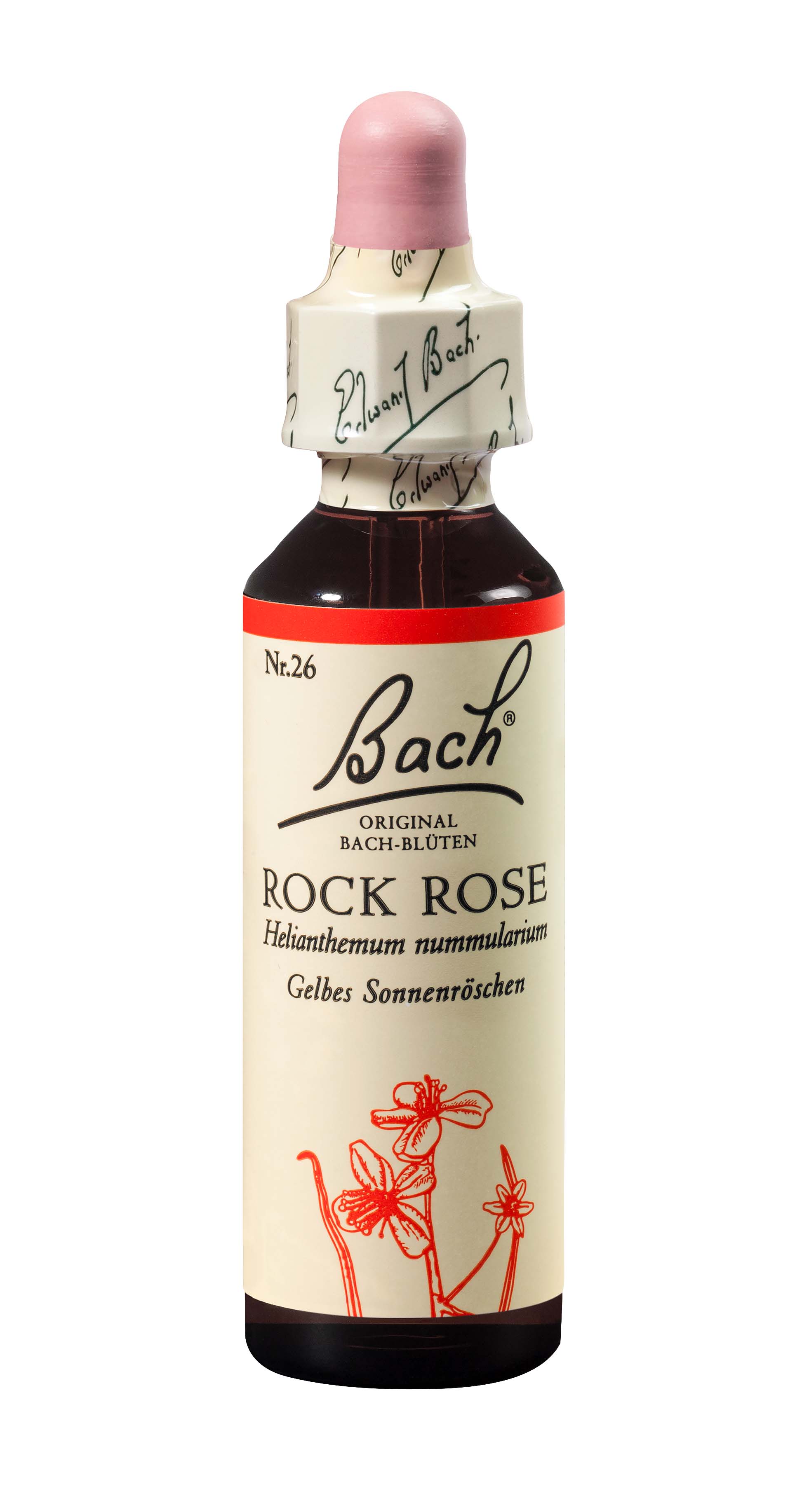 original rock rose