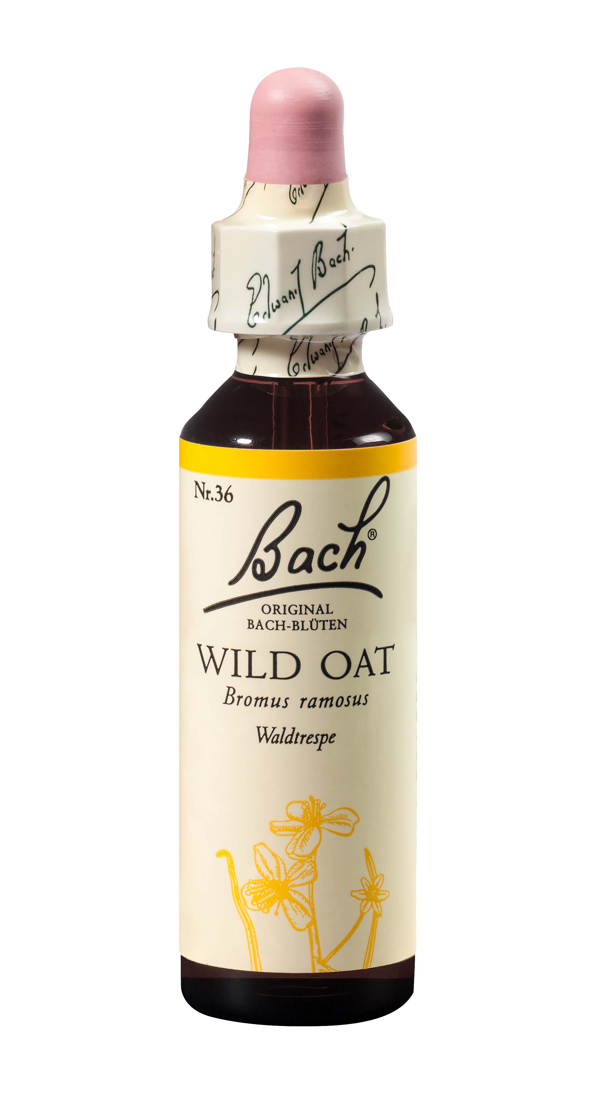 original wild oat