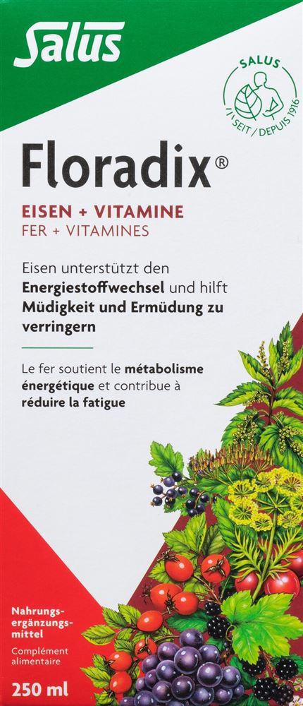 Floradix Eisen + Vitamine