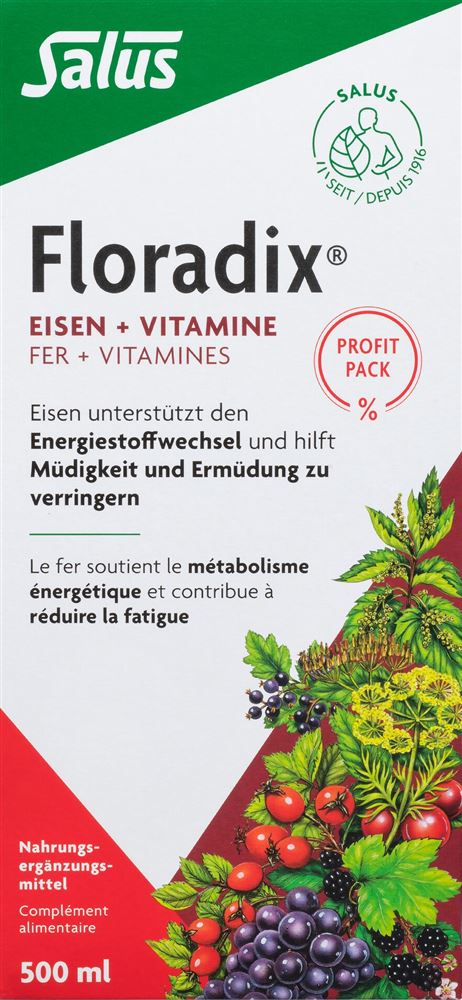 Floradix Eisen + Vitamine