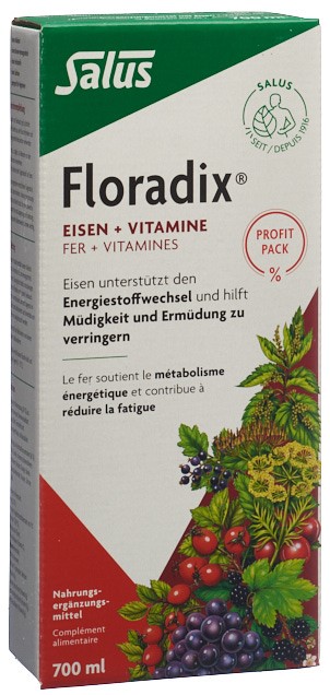 Floradix Eisen + Vitamine, Hauptbild