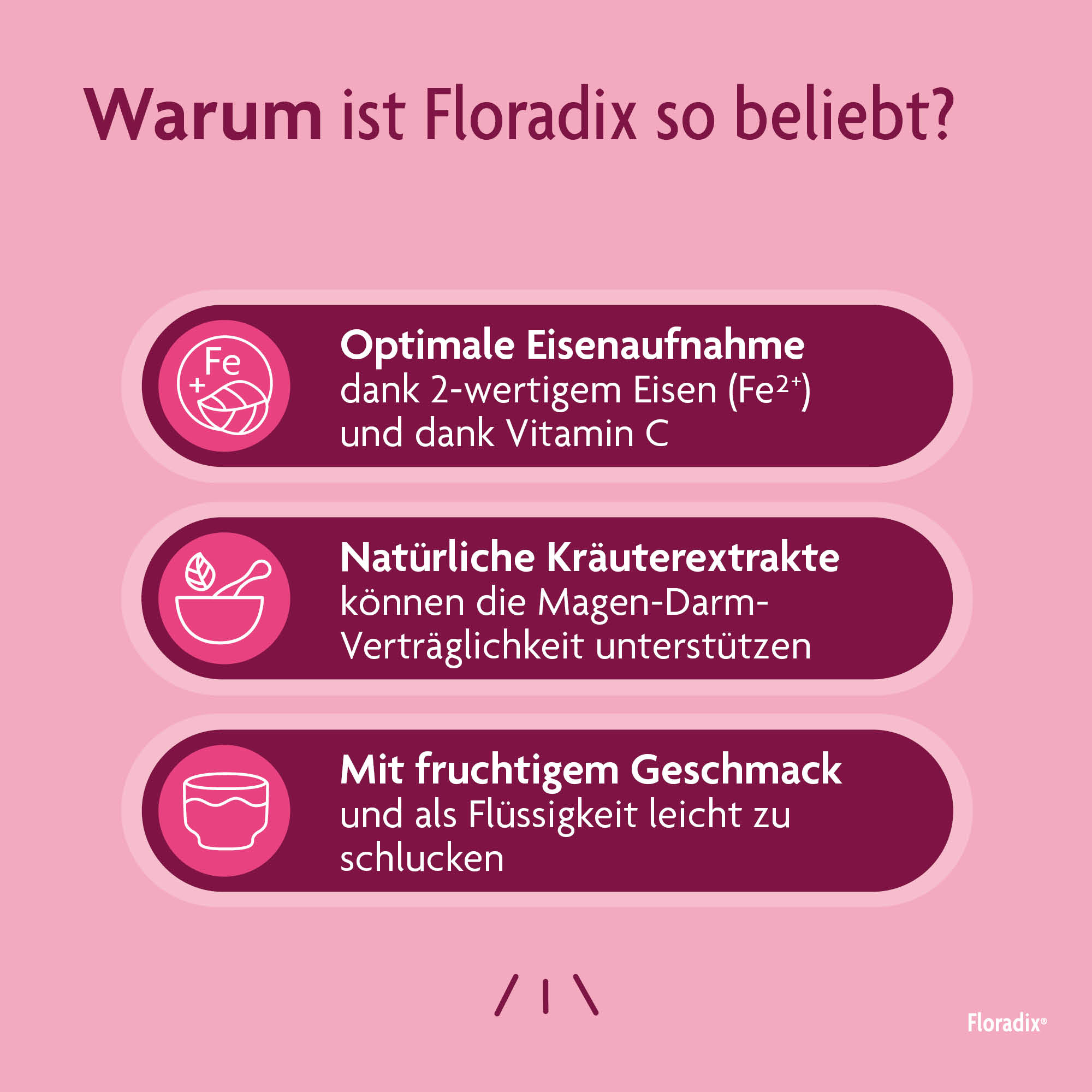 Floradix Fer + vitamines, image 4 sur 6