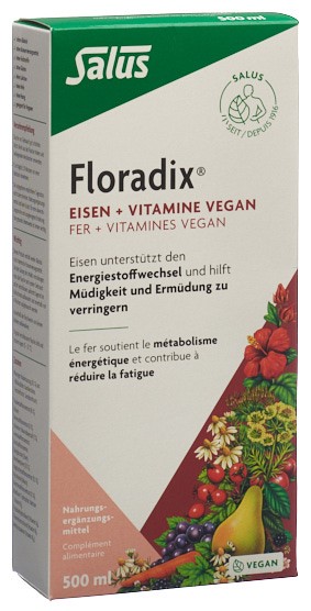 Floradix VEGAN Eisen + Vitamine, Hauptbild