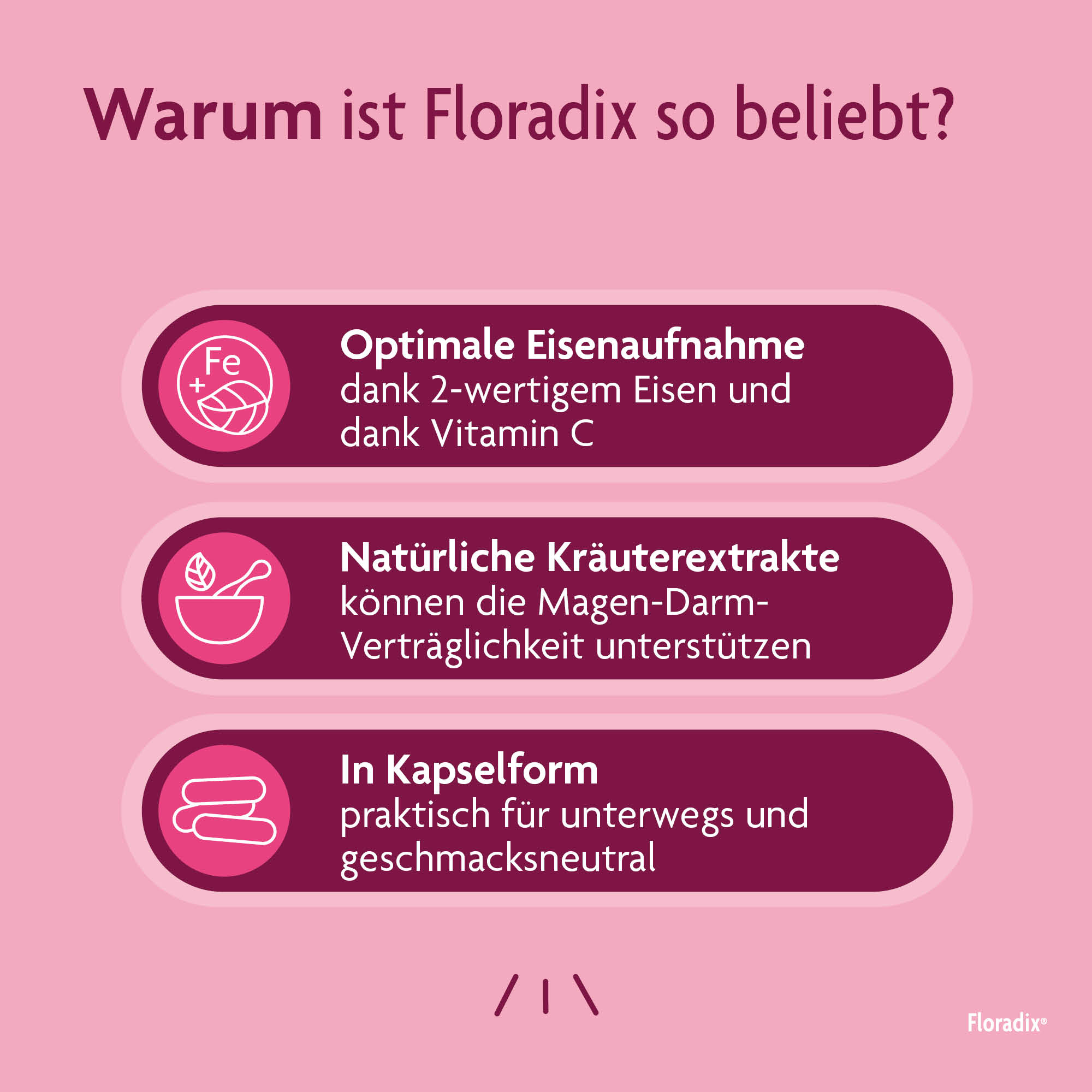 Floradix VEGAN Fer + vitamine B12, image 4 sur 6