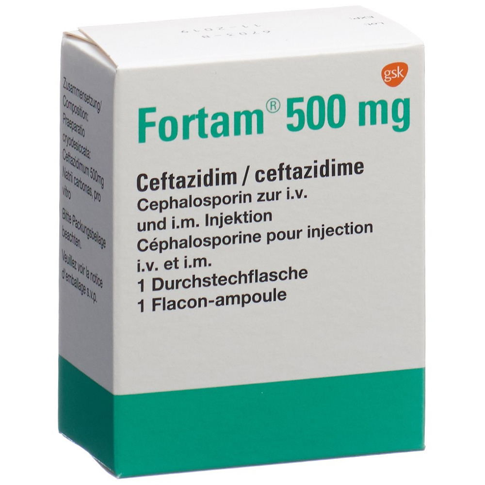 FORTAM subst sèche 500 mg flac 1 pce, image principale