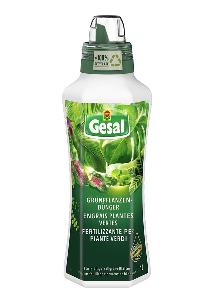 GESAL Engrais plantes vertes