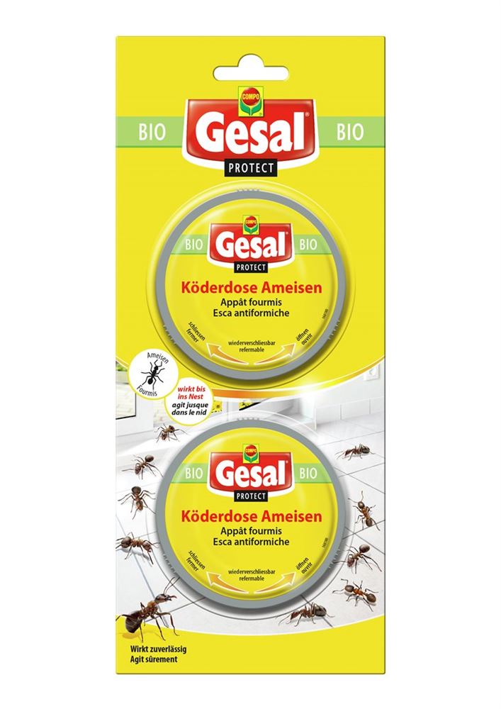 GESAL Appât fourmis