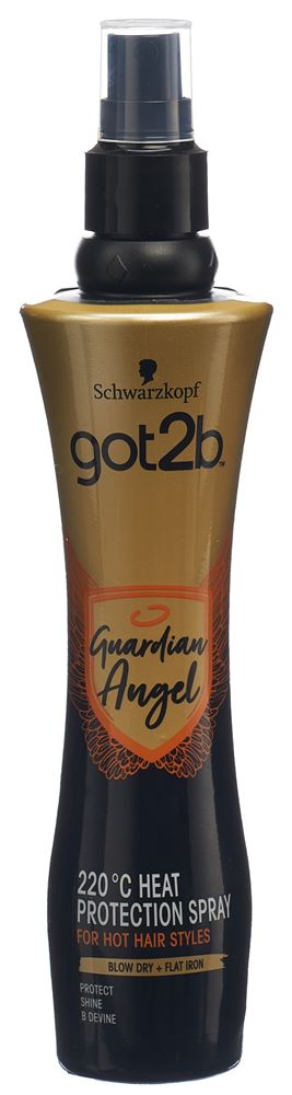 GOT2B guardian angel heat, image principale
