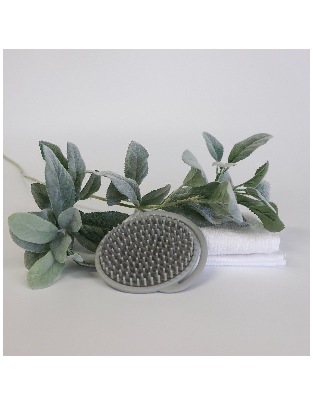 Haakaa brosse à shampooing, image 2 sur 4