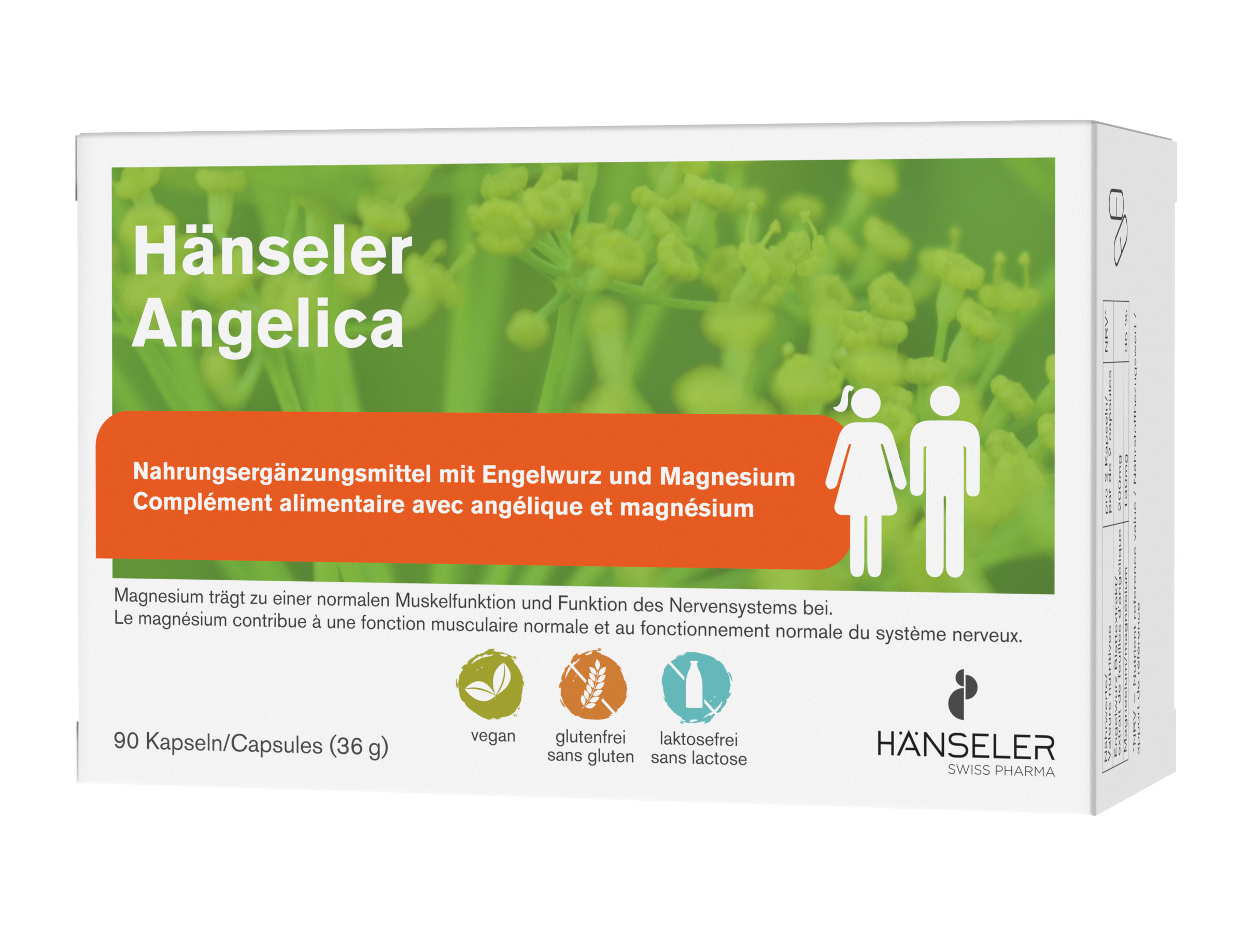 HAENSELER Angelica, Hauptbild