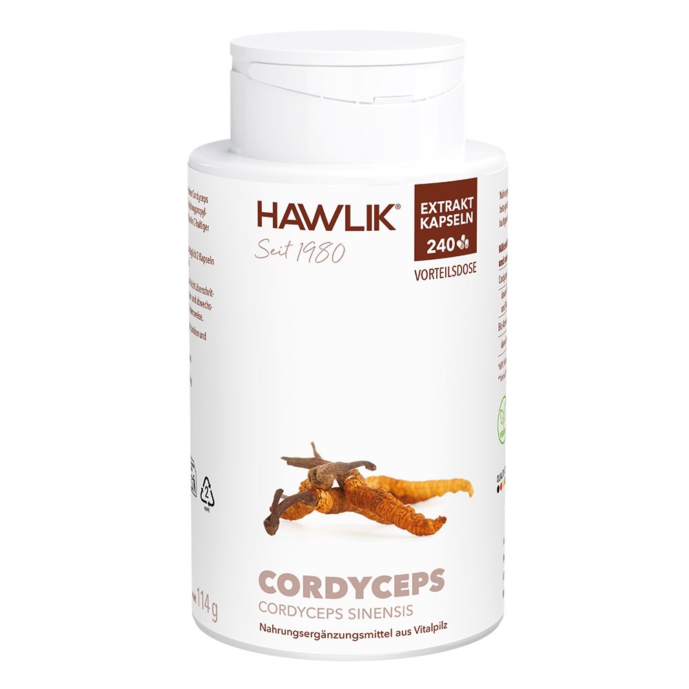 HAWLIK Cordyceps Extrait, image principale