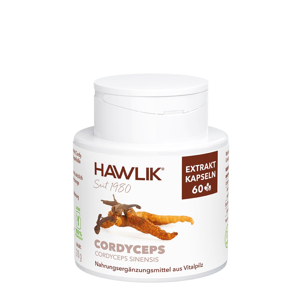 HAWLIK Cordyceps Extrait