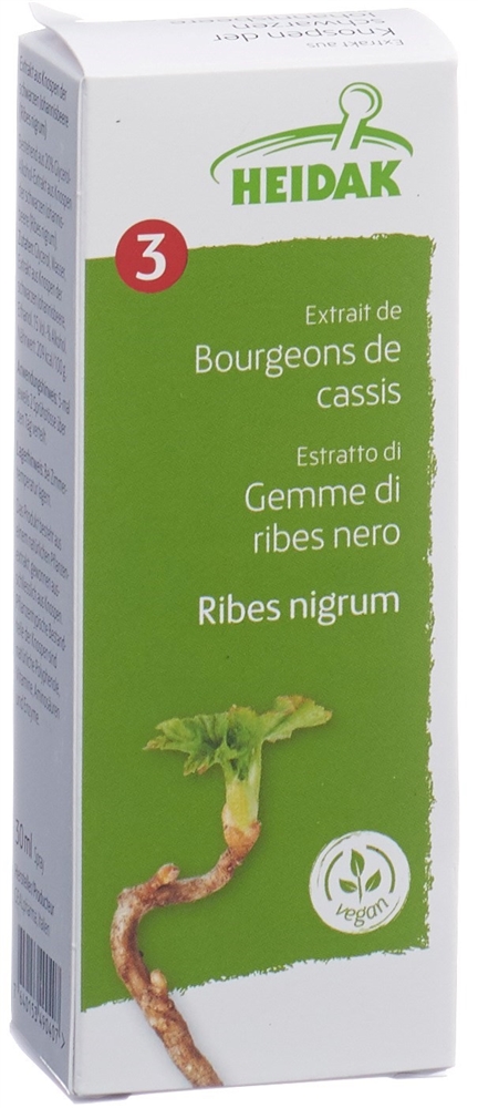 HEIDAK bourgeon ribes nigrum, image 2 sur 2