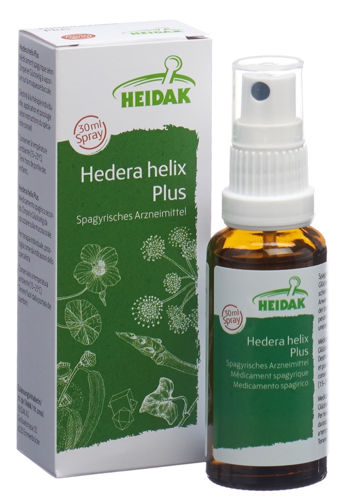 HEIDAK Hedera helix plus, Bild 2 von 5