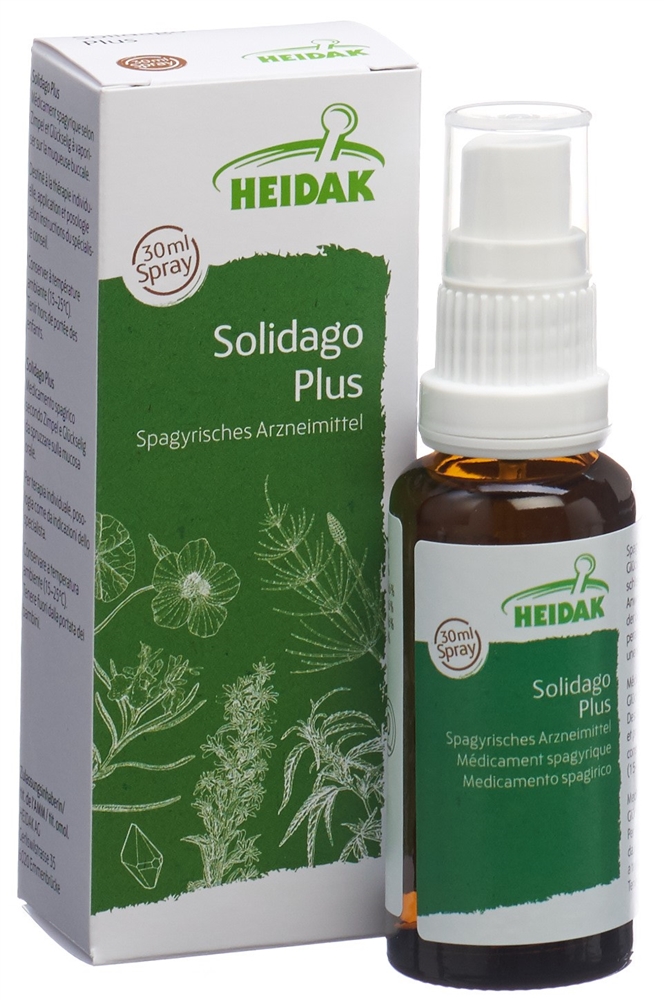 HEIDAK Solidago plus, Bild 2 von 5