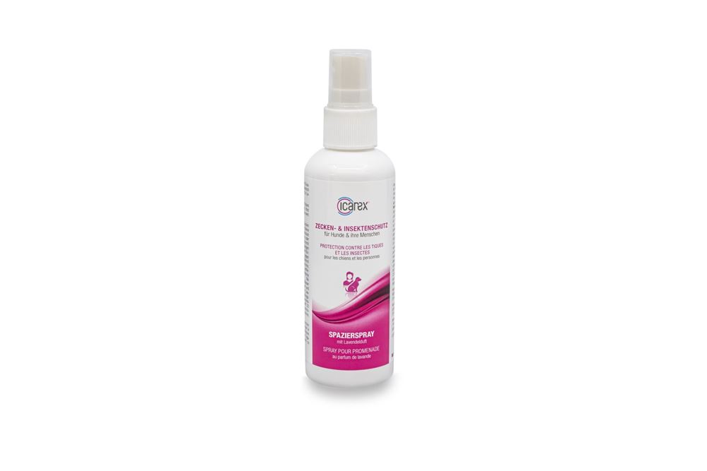 Icarex Spazierspray, Hauptbild
