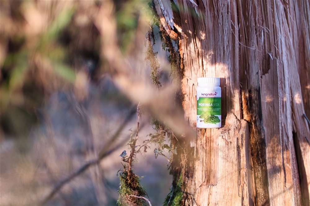 KINGNATURE Moringa Vida, Bild 2 von 3