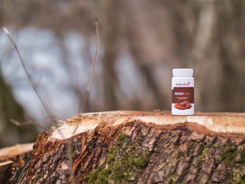 KINGNATURE REISHI VIDA 300 mg, image 2 sur 4