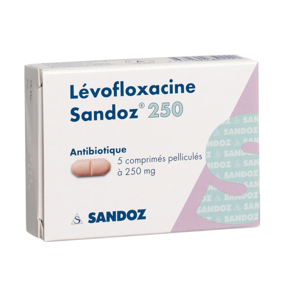 LEVOFLOXACINE Sandoz 250 mg, Bild 2 von 2