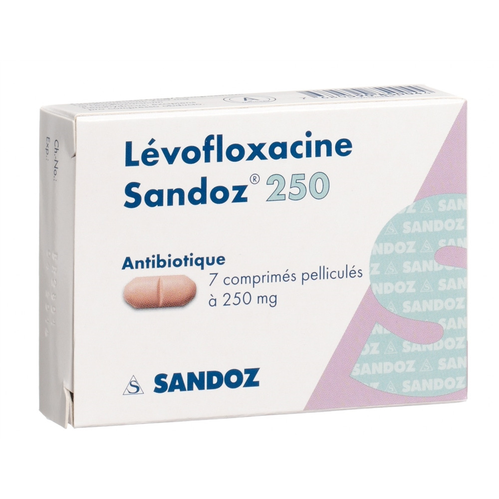 LEVOFLOXACINE Sandoz 250 mg, Bild 2 von 2