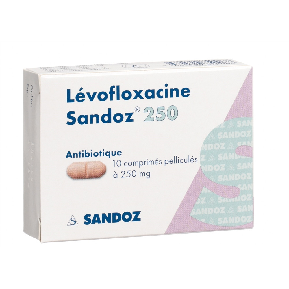 LEVOFLOXACINE Sandoz 250 mg, image 2 sur 2