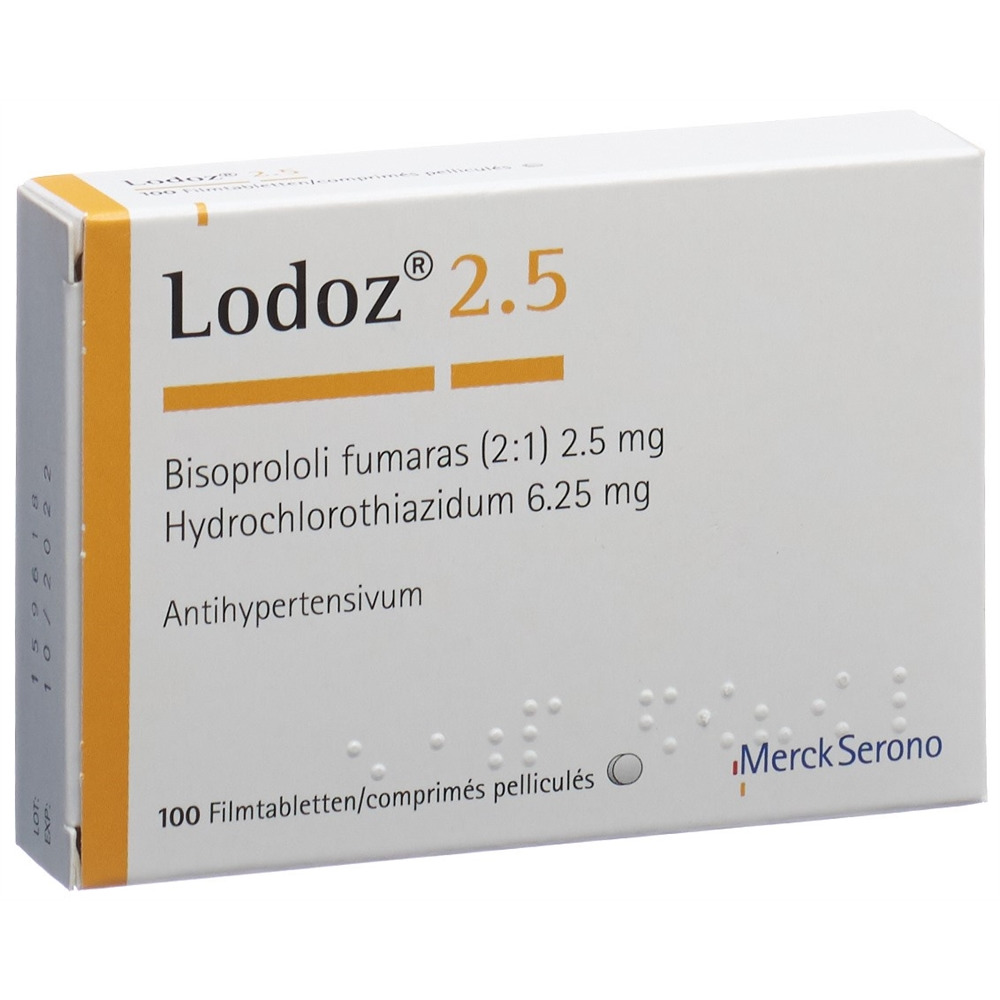 Lodoz 2.5, image principale