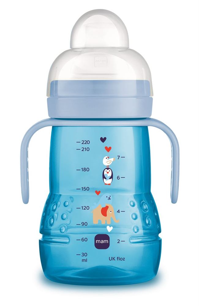 , immagine principale