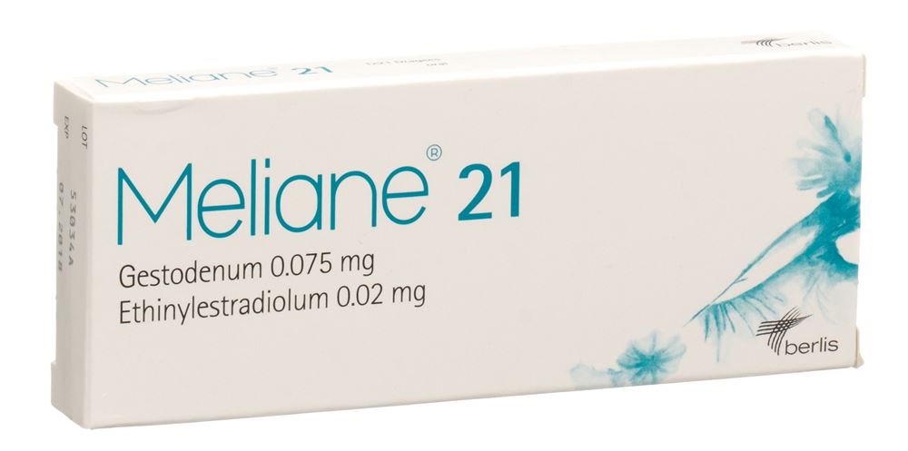MELIANE 21, Hauptbild