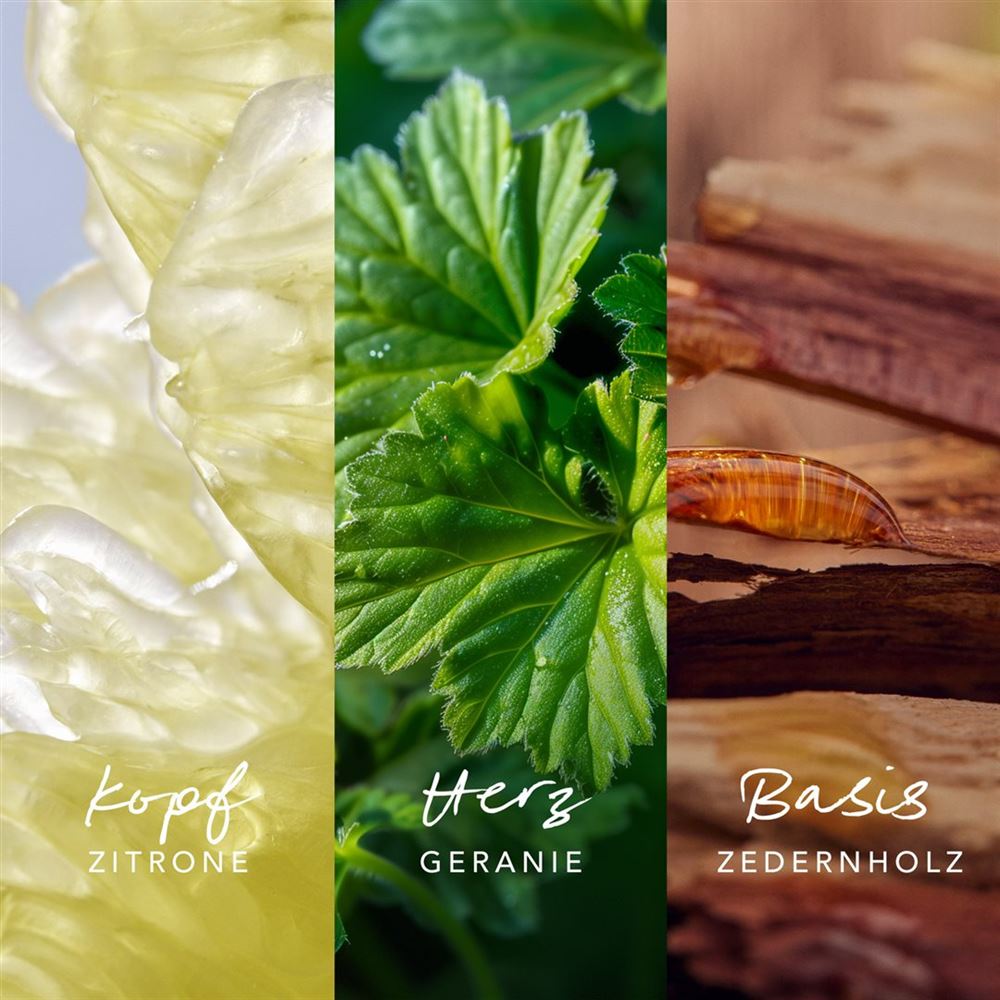 MEXX Nature Eau de Parfum, image 4 sur 4