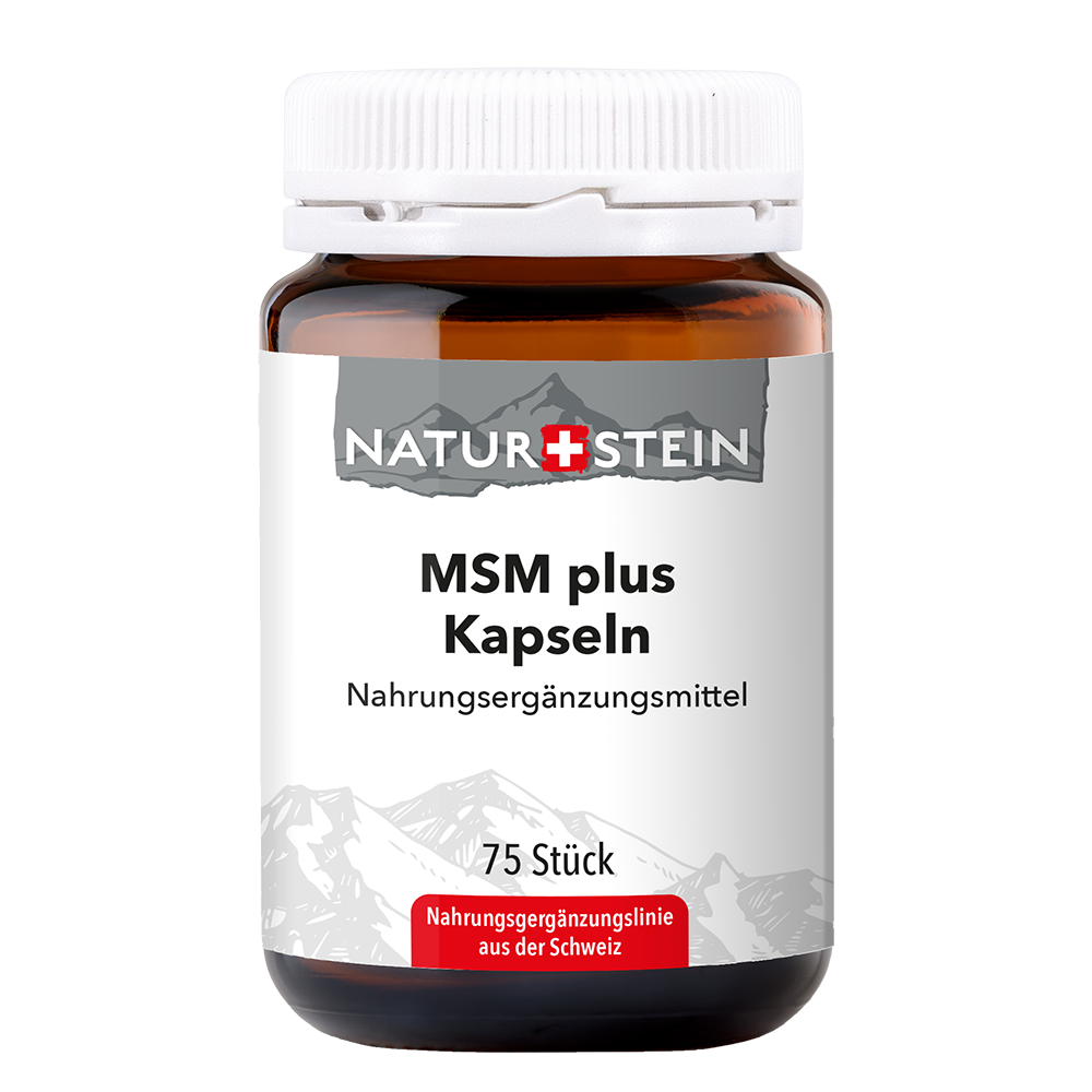 NATURSTEIN MSM plus, image principale