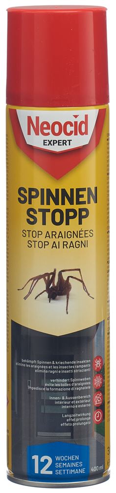 EXPERT stop araignées