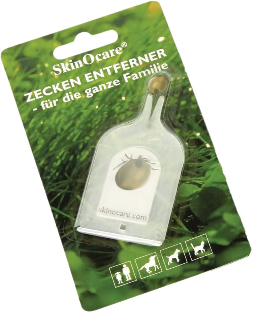 Nippes Zeckenkarte, Hauptbild