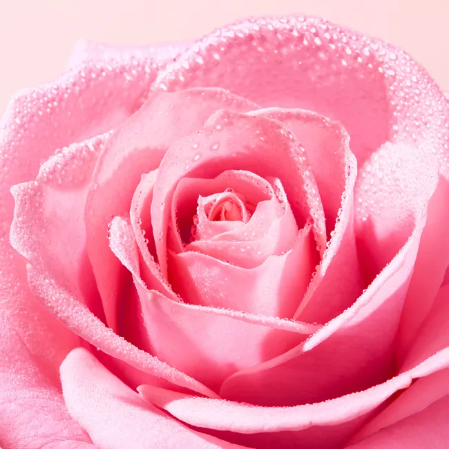 , immagine 3 di 3