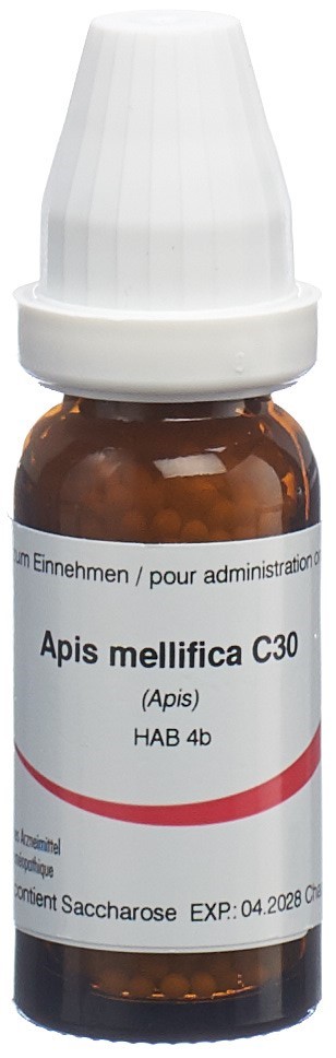 Omida apis mellifica 30 C, image principale